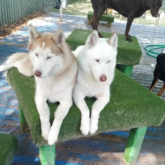 Meet your Posher, Michele π - Picture 10 of 16